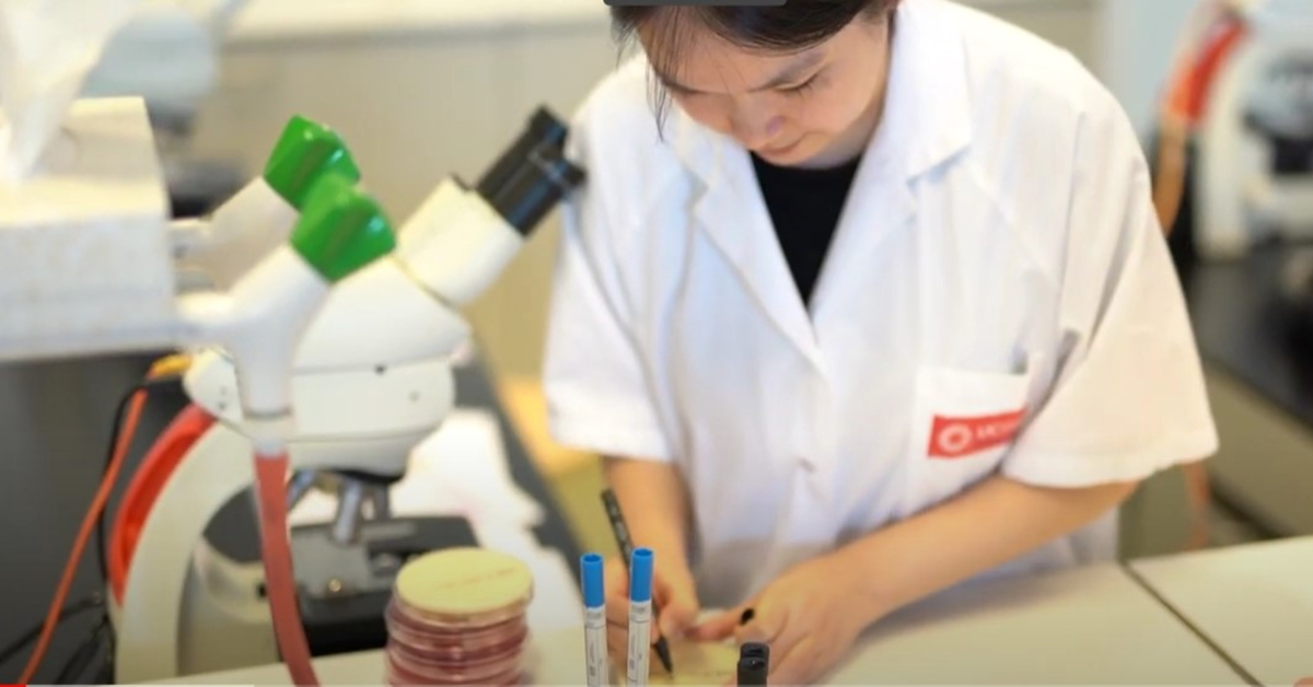 Studenten Biomedische Laboratoriumtechnologie Aan De Slag Met LabOnline ...